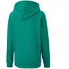 Puma teamGOAL 23 Casuals Hoody Jr 656711 05 džemperis