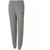 Puma teamGOAL 23 Casuals Kelnės Jr 656713 33