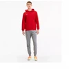 Puma TeamGoal 23 Casuals M 656580-01 džemperis