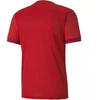 Puma teamGOAL 23 Džersis M 704171 01