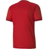 Puma teamGOAL 23 Džersis M 704171 01