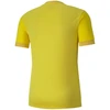 Puma teamGOAL 23 Džersis M 704171 07