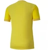 Puma teamGOAL 23 Džersis M 704171 07