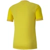 Puma teamGOAL 23 Džersis M 704171 07