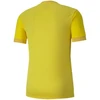 Puma teamGOAL 23 Džersis M 704171 07