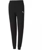Puma teamGoal 23 Jaunimo laisvalaikio kelnės 656713 03