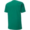 Puma teamGOAL 23 Laisvalaikio marškinėliai M 656578 05