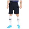 Puma teamGoal 23 Laisvalaikio Šortai M 656581-06