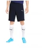 Puma teamGoal 23 Laisvalaikio Šortai M 656581-06