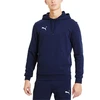 Puma TeamGoal 23 Laisvalaikio Unisex Džemperis 656580 06