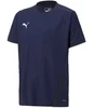 Puma teamGOAL 23 Marškinėli Junior 704160 06