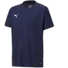 Puma teamGOAL 23 Marškinėli Junior 704160 06