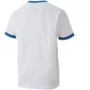 Puma teamGOAL 23 marškinėliai Jr 704160 12