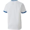 Puma teamGOAL 23 marškinėliai Jr 704160 12