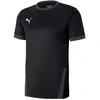 Puma teamGOAL 23 marškinėliai M 704171 03