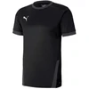 Puma teamGOAL 23 marškinėliai M 704171 03