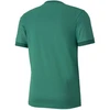 Puma teamGOAL 23 Marškinėliai M 704171 05