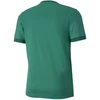 Puma teamGOAL 23 Marškinėliai M 704171 05
