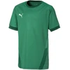 Puma teamGOAL 23 Marškiniai Jr 704160 05