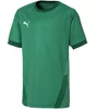 Puma teamGOAL 23 Marškiniai Jr 704160 05