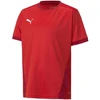 Puma teamGOAL 23 marškiniai vaikams 704160 01