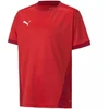 Puma teamGOAL 23 marškiniai vaikams 704160 01
