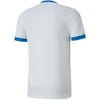 Puma teamGOAL 23 sportiniai marškinėliai M 704171 12