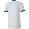 Puma teamGOAL 23 sportiniai marškinėliai M 704171 12