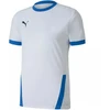 Puma teamGOAL 23 sportiniai marškinėliai M 704171 12