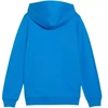 Puma teamGoal Laisvalaikio Hooded Jr džemperis su gobtuvu 658596 02