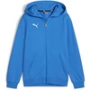 Puma teamGoal Laisvalaikio Hooded Jr džemperis su gobtuvu 658596 02