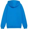 Puma teamGoal Laisvalaikio Hooded Jr džemperis su gobtuvu 658596 02