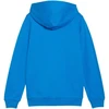 Puma teamGoal Laisvalaikio Hooded Jr džemperis su gobtuvu 658596 02