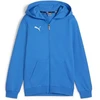 Puma teamGoal Laisvalaikio Hooded Jr džemperis su gobtuvu 658596 02