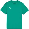Puma TeamGoal marškinėliai vaikiški žali 658637 05