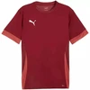 Puma teamGoal Matchday Džersis Vyriškas Bordo 705747 09