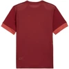 Puma teamGoal Matchday Džersis Vyriškas Bordo 705747 09