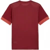 Puma teamGoal Matchday Džersis Vyriškas Bordo 705747 09