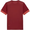 Puma teamGoal Matchday Džersis Vyriškas Bordo 705747 09