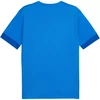 Puma teamGoal Matchday Jersey M 705747 02