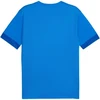 Puma teamGoal Matchday Jersey M 705747 02