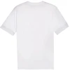 Puma teamGoal Matchday Jersey M 705747 04