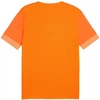 Puma teamGoal Matchday Jersey M 705747 08