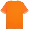 Puma teamGoal Matchday Jersey M 705747 08