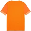Puma teamGoal Matchday Jersey M 705747 08