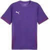 Puma teamGoal Matchday Jersey M 705747 10