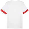 Puma teamGoal Matchday Jersey M 705747 11