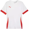 Puma teamGoal Matchday Jersey M 705747 11