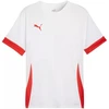 Puma teamGoal Matchday Jersey M 705747 11