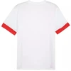 Puma teamGoal Matchday Jersey M 705747 11